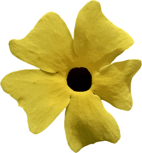 Yellow flower