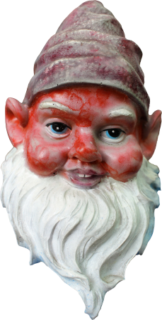 Dwarf