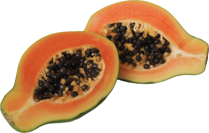 Fruit