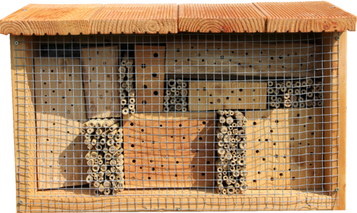 Insect hotel