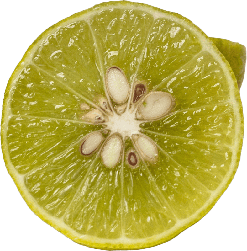 Lemon