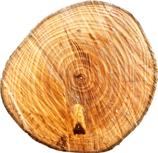 Log