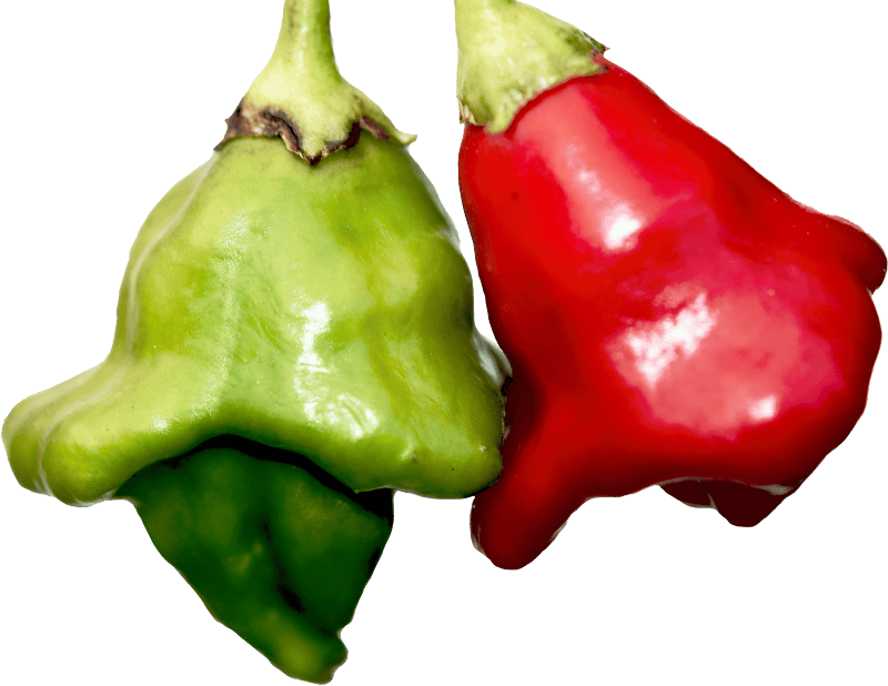 Peppers