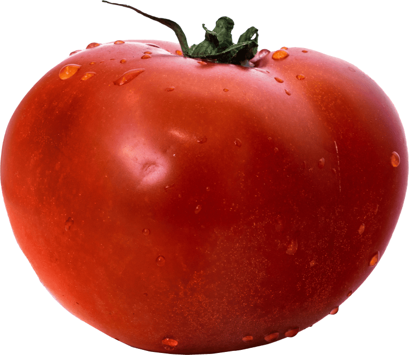 Tomato