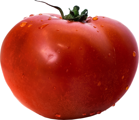 Tomato