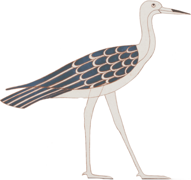 Ancient Egyptian Bird