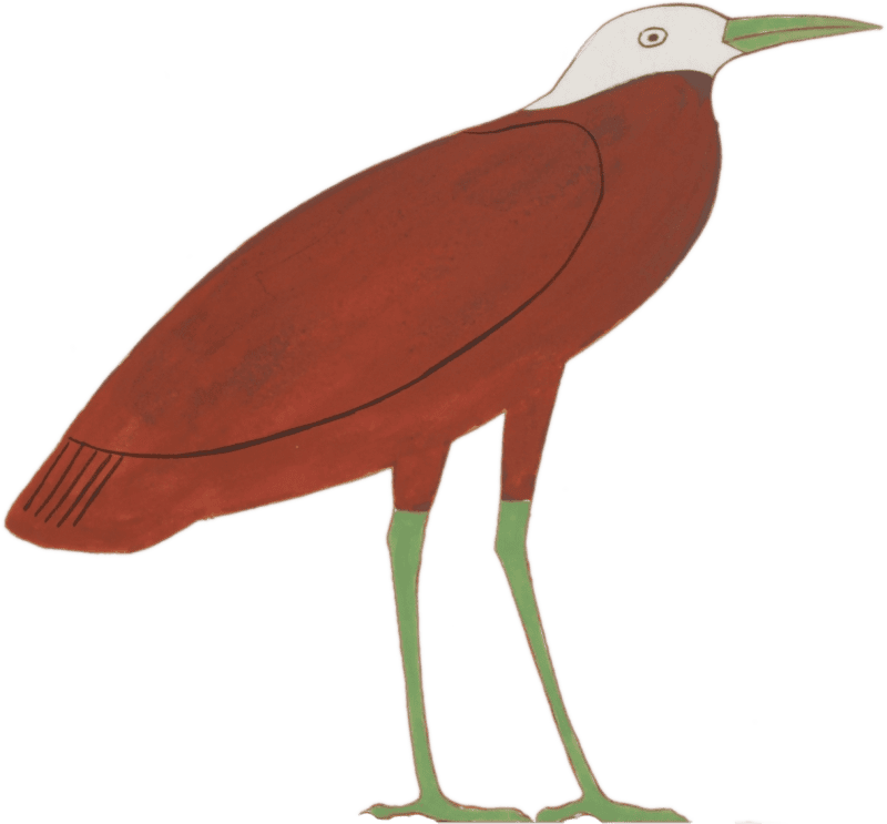 Ancient Egyptian Bird