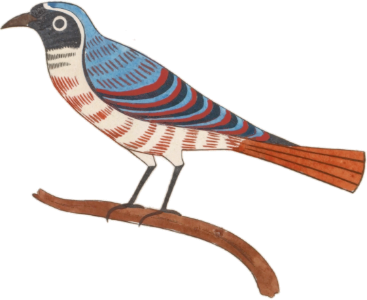 Ancient Egyptian Bird