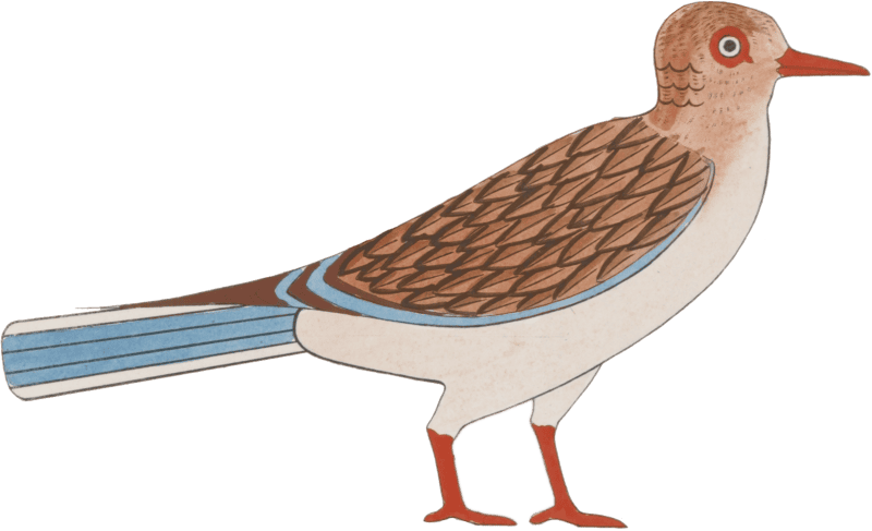 Ancient Egyptian Bird