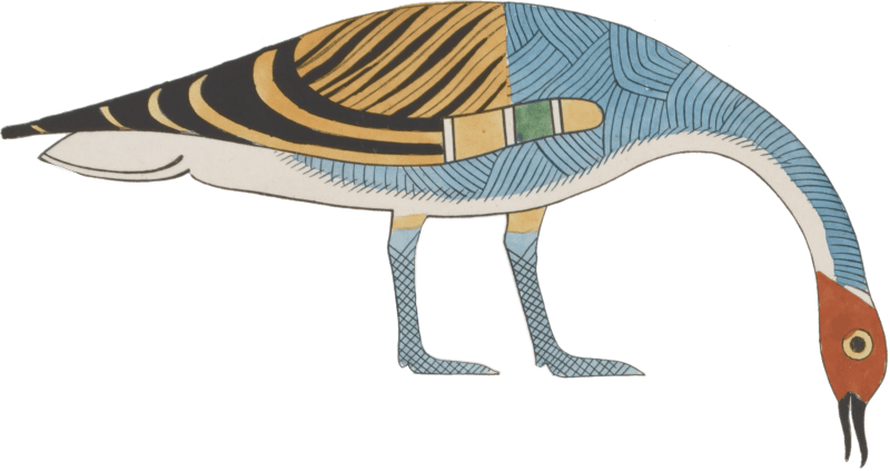 Ancient Egyptian Bird