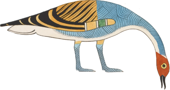 Ancient Egyptian Bird