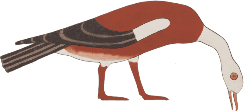 Ancient Egyptian Bird