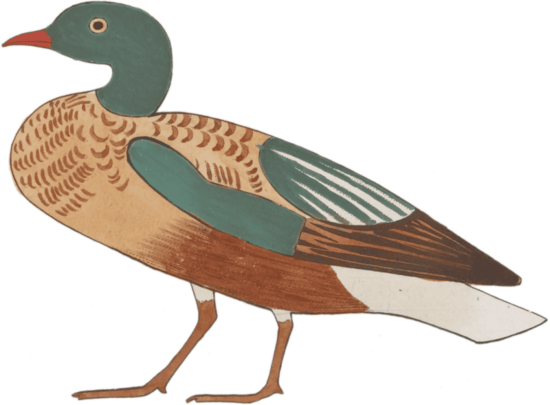 Ancient Egyptian Bird