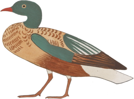 Ancient Egyptian Bird