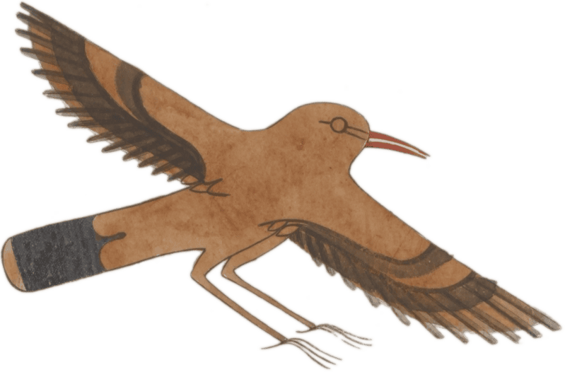 Ancient Egyptian Bird