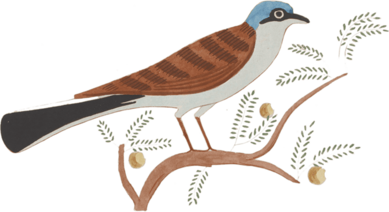 Ancient Egyptian Bird