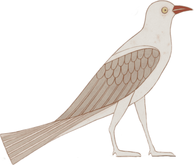 Ancient Egyptian Bird