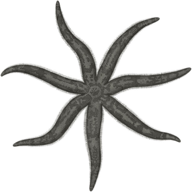 Asteria 1