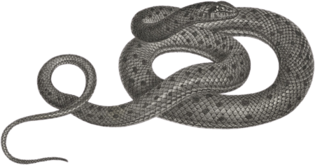 Mesh snake
