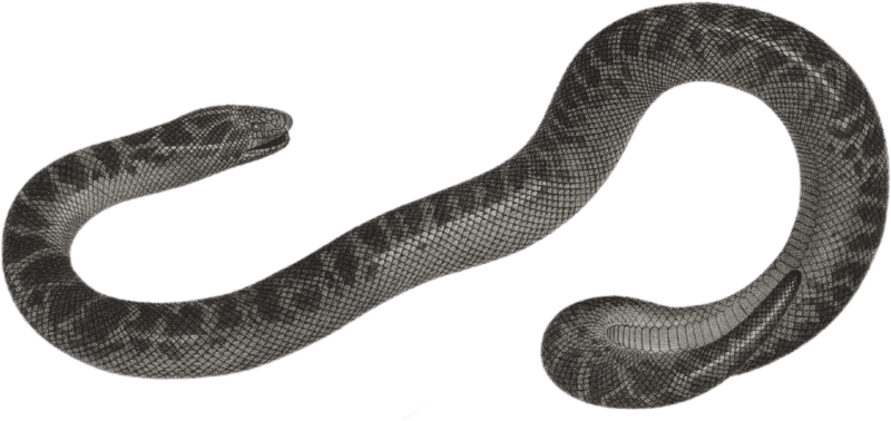 Delta Eryx