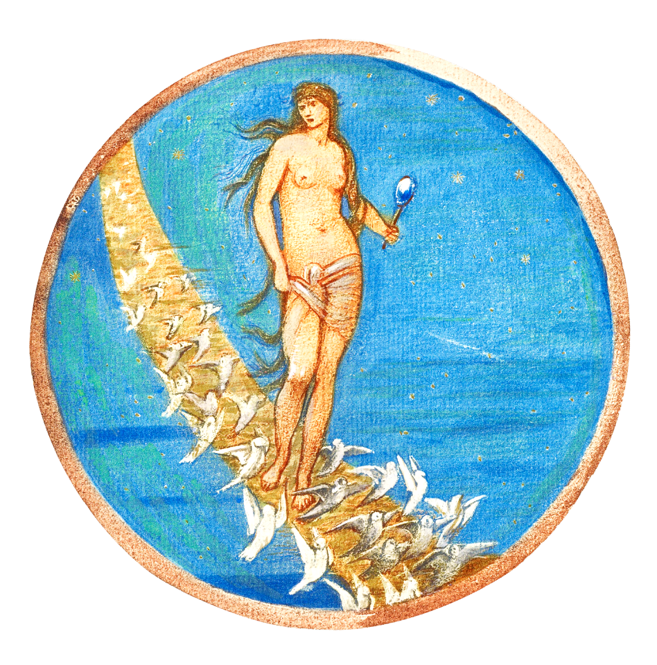 Rose of Heaven from The Flower Book (1905) by Sir Edward Burne–Jones.