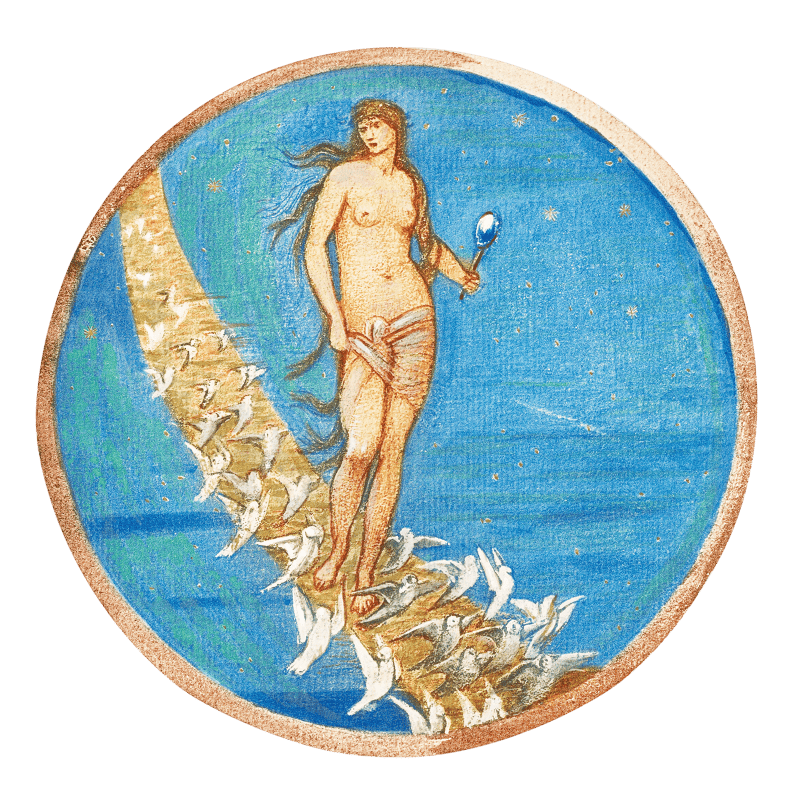 Rose of Heaven from The Flower Book (1905) by Sir Edward Burne–Jones.