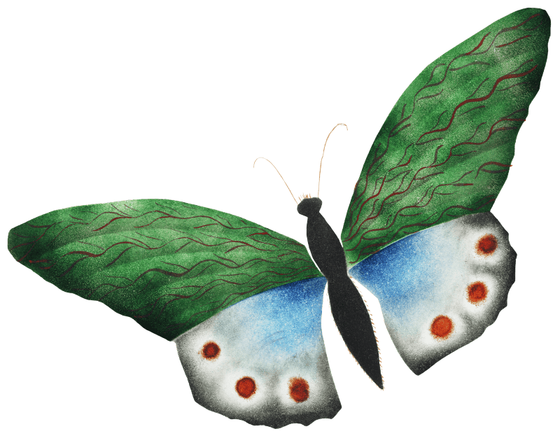Butterfly by Mary Altha Nims (1817–1907).