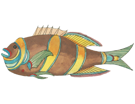 Colourful and surreal illustrations of fishes found in Moluccas (Indonesia) and the East Indies by Louis Renard (1678 -1746) from Histoire naturelle des plus rares curiositez de la mer des Indes (1754).