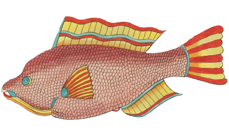 Colourful and surreal illustrations of fishes found in Moluccas (Indonesia) and the East Indies by Louis Renard (1678 -1746) from Histoire naturelle des plus rares curiositez de la mer des Indes (1754).