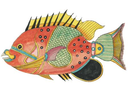 Colourful and surreal illustrations of fishes found in Moluccas (Indonesia) and the East Indies by Louis Renard (1678 -1746) from Histoire naturelle des plus rares curiositez de la mer des Indes (1754).