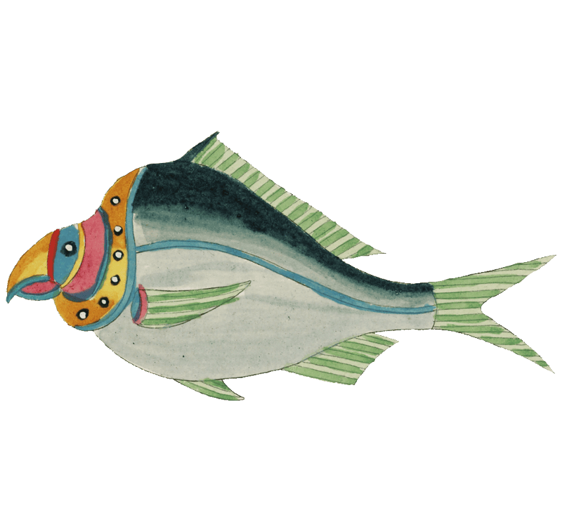 Colourful and surreal illustrations of fishes found in Moluccas (Indonesia) and the East Indies by Louis Renard (1678 -1746) from Histoire naturelle des plus rares curiositez de la mer des Indes (1754).