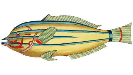 Colourful and surreal illustrations of fishes found in Moluccas (Indonesia) and the East Indies by Louis Renard (1678 -1746) from Histoire naturelle des plus rares curiositez de la mer des Indes (1754).