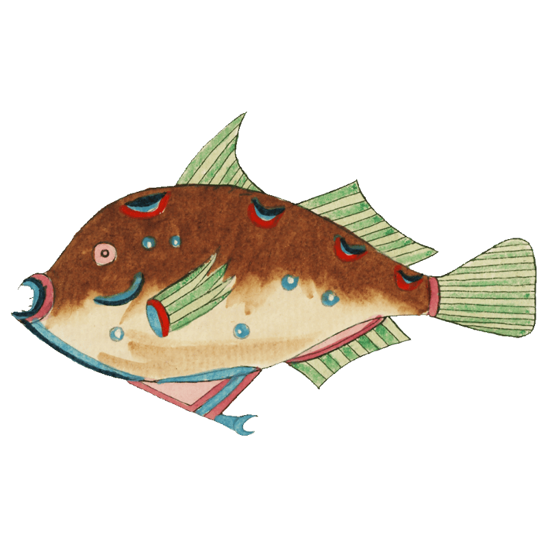 Colourful and surreal illustrations of fishes found in Moluccas (Indonesia) and the East Indies by Louis Renard (1678 -1746) from Histoire naturelle des plus rares curiositez de la mer des Indes (1754).