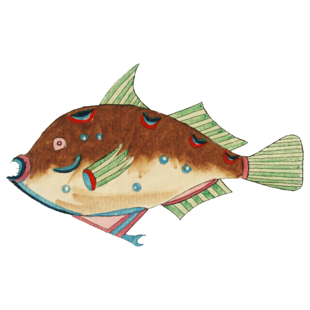 Colourful and surreal illustrations of fishes found in Moluccas (Indonesia) and the East Indies by Louis Renard (1678 -1746) from Histoire naturelle des plus rares curiositez de la mer des Indes (1754).