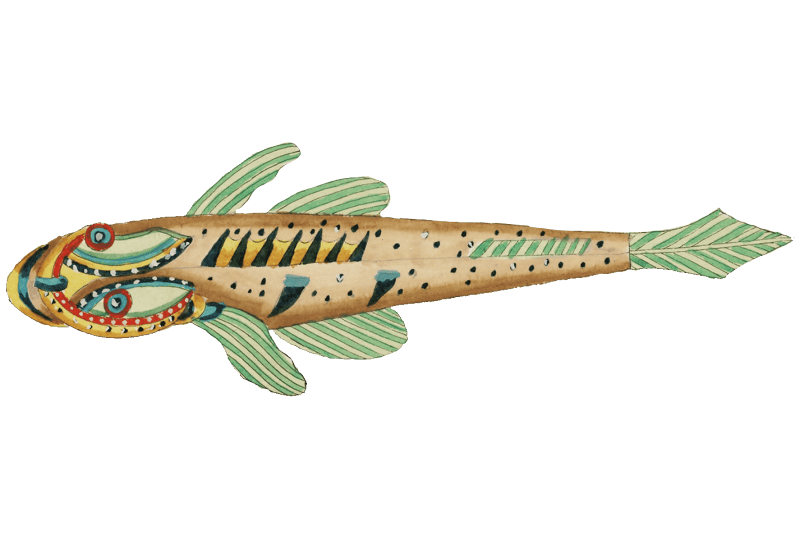 Colourful and surreal illustrations of fishes and crab found in Moluccas (Indonesia) and the East Indies by Louis Renard (1678 -1746) from Histoire naturelle des plus rares curiositez de la mer des Indes (1754).