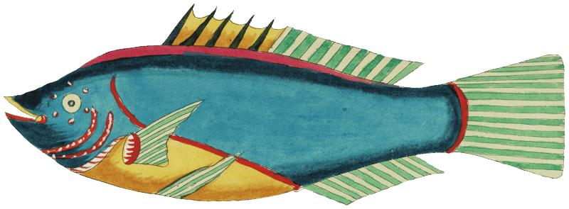 Colourful and surreal illustrations of fishes and crab found in Moluccas (Indonesia) and the East Indies by Louis Renard (1678 -1746) from Histoire naturelle des plus rares curiositez de la mer des Indes (1754).