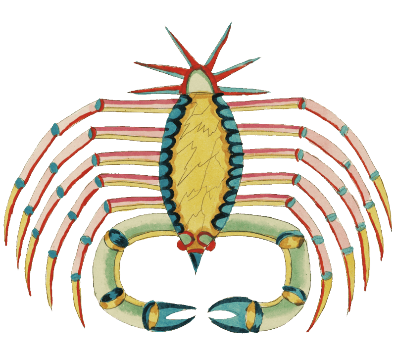 Colourful and surreal illustrations of fishes and crab found in Moluccas (Indonesia) and the East Indies by Louis Renard (1678 -1746) from Histoire naturelle des plus rares curiositez de la mer des Indes (1754).