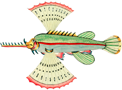 Colourful and surreal illustrations of fishes found in Moluccas (Indonesia) and the East Indies by Louis Renard (1678 -1746) from Histoire naturelle des plus rares curiositez de la mer des Indes (1754).