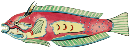 Colourful and surreal illustrations of fishes found in Moluccas (Indonesia) and the East Indies by Louis Renard (1678 -1746) from Histoire naturelle des plus rares curiositez de la mer des Indes (1754).