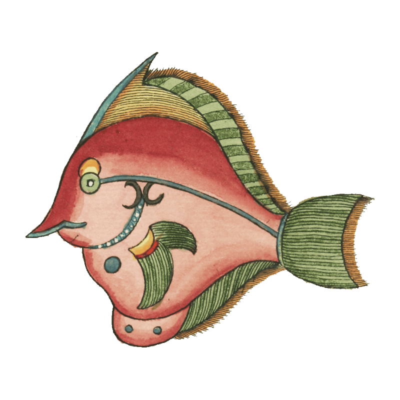 Colourful and surreal illustrations of fishes found in Moluccas (Indonesia) and the East Indies by Louis Renard (1678 -1746) from Histoire naturelle des plus rares curiositez de la mer des Indes (1754).