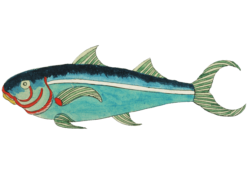 Colourful and surreal illustrations of fishes found in Moluccas (Indonesia) and the East Indies by Louis Renard (1678 -1746) from Histoire naturelle des plus rares curiositez de la mer des Indes (1754).