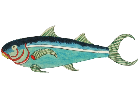Colourful and surreal illustrations of fishes found in Moluccas (Indonesia) and the East Indies by Louis Renard (1678 -1746) from Histoire naturelle des plus rares curiositez de la mer des Indes (1754).