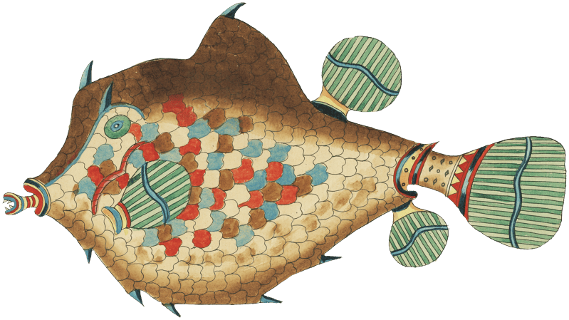 Colourful and surreal illustrations of fishes found in Moluccas (Indonesia) and the East Indies by Louis Renard (1678 -1746) from Histoire naturelle des plus rares curiositez de la mer des Indes (1754).