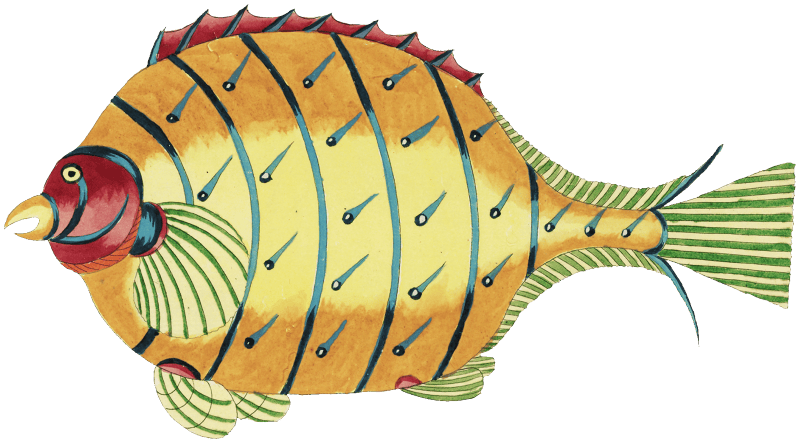 Colourful and surreal illustrations of fishes found in Moluccas (Indonesia) and the East Indies by Louis Renard (1678 -1746) from Histoire naturelle des plus rares curiositez de la mer des Indes (1754).