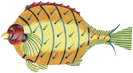 Colourful and surreal illustrations of fishes found in Moluccas (Indonesia) and the East Indies by Louis Renard (1678 -1746) from Histoire naturelle des plus rares curiositez de la mer des Indes (1754).