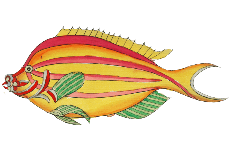 Colourful and surreal illustrations of fishes found in Moluccas (Indonesia) and the East Indies by Louis Renard (1678 -1746) from Histoire naturelle des plus rares curiositez de la mer des Indes (1754).