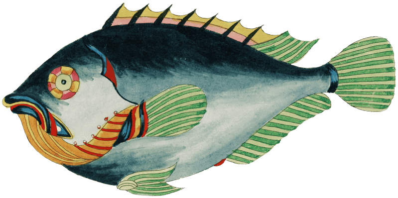 Colourful and surreal illustrations of fishes found in Moluccas (Indonesia) and the East Indies by Louis Renard (1678 -1746) from Histoire naturelle des plus rares curiositez de la mer des Indes (1754).