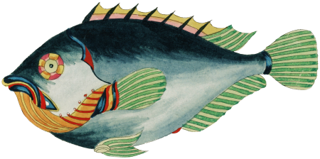 Colourful and surreal illustrations of fishes found in Moluccas (Indonesia) and the East Indies by Louis Renard (1678 -1746) from Histoire naturelle des plus rares curiositez de la mer des Indes (1754).