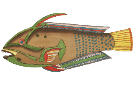 Colourful and surreal illustrations of fishes found in Moluccas (Indonesia) and the East Indies by Louis Renard (1678 -1746) from Histoire naturelle des plus rares curiositez de la mer des Indes (1754).