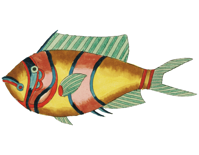 Colourful and surreal illustrations of fishes found in Moluccas (Indonesia) and the East Indies by Louis Renard (1678 -1746) from Histoire naturelle des plus rares curiositez de la mer des Indes (1754).